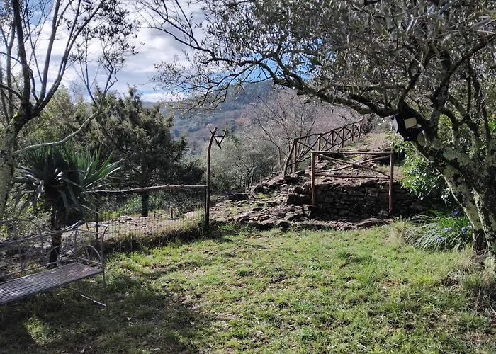 Sous Les Oliviers Шале Сент-Амбруа